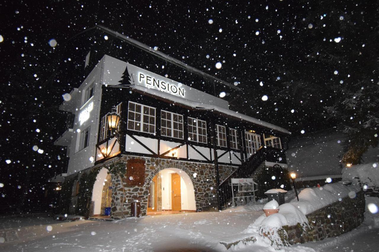 Pension St. Moritz Zelezna Ruda Exterior photo